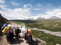 Yaks carry luggage in Mt. Amnye Machen