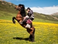 nomad horse riding skill