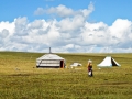 tibetan nomads in tsekog grassland