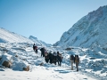 trekking-up-to-dolma-la-pass-in-mt-kailash-kora