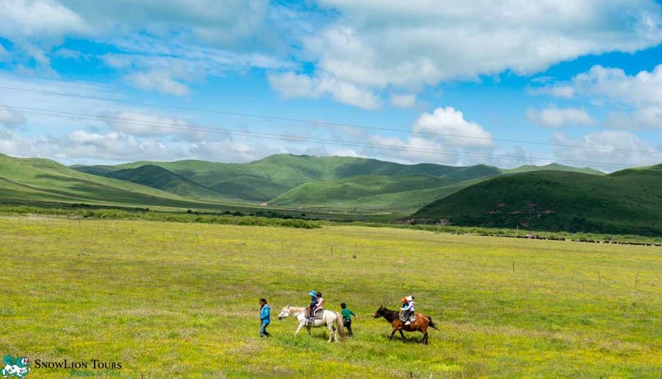 Qinghai Lake - Best Qinghai Tour