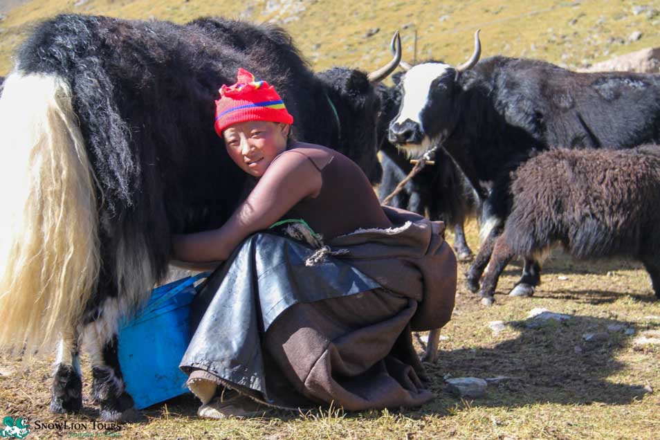 Nomads on Xining to Shanghai-la tour