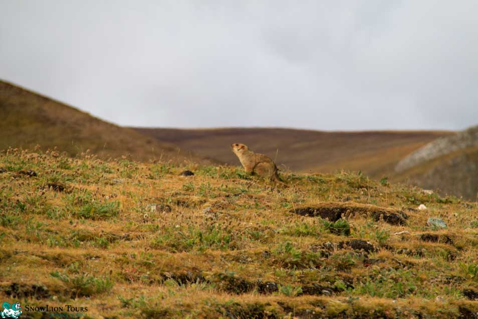 Amdo and Kham Tibet Tour