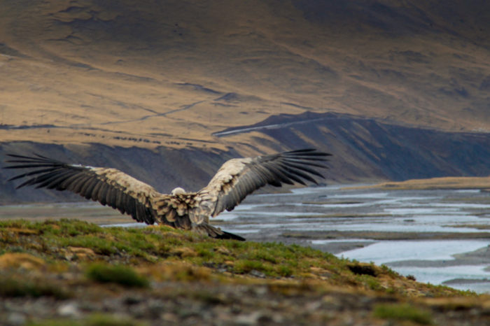Civilizations of Eastern Tibet