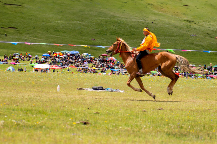Yushu Horse Festival