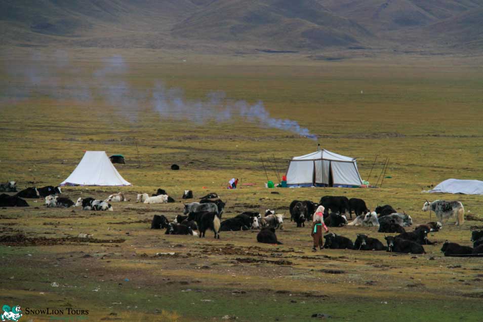 Nomads life between Xining to Shangri-la tour