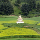 green_stupa