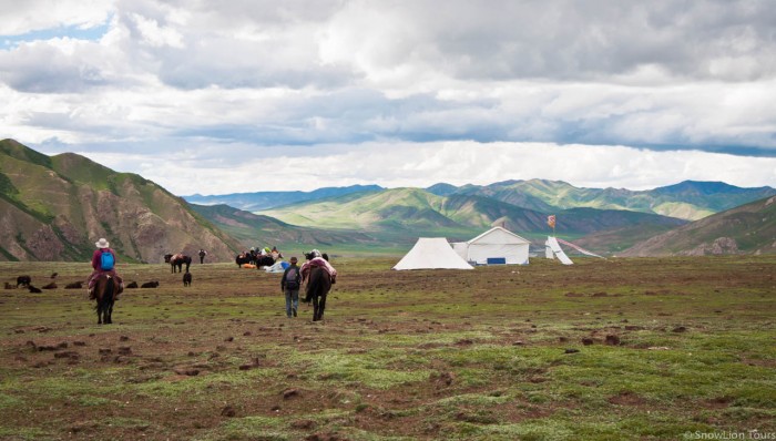 camping with tibetan nomads