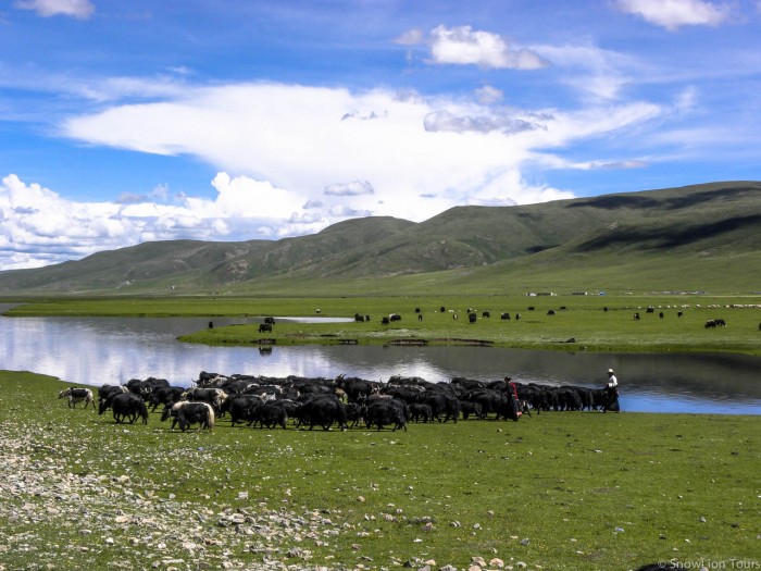 Tibetan Nomads in Nangchen county in Kham Tibet