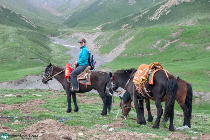 Tibet Homestay, Camping & Festival