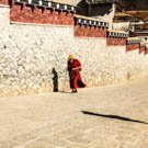 Shangri-la to Lhasa 