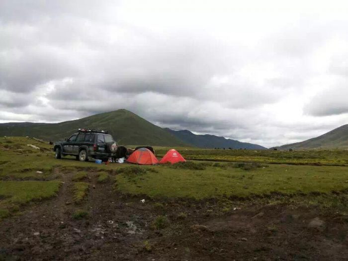 tibet wildlife tour, tibet camping tour