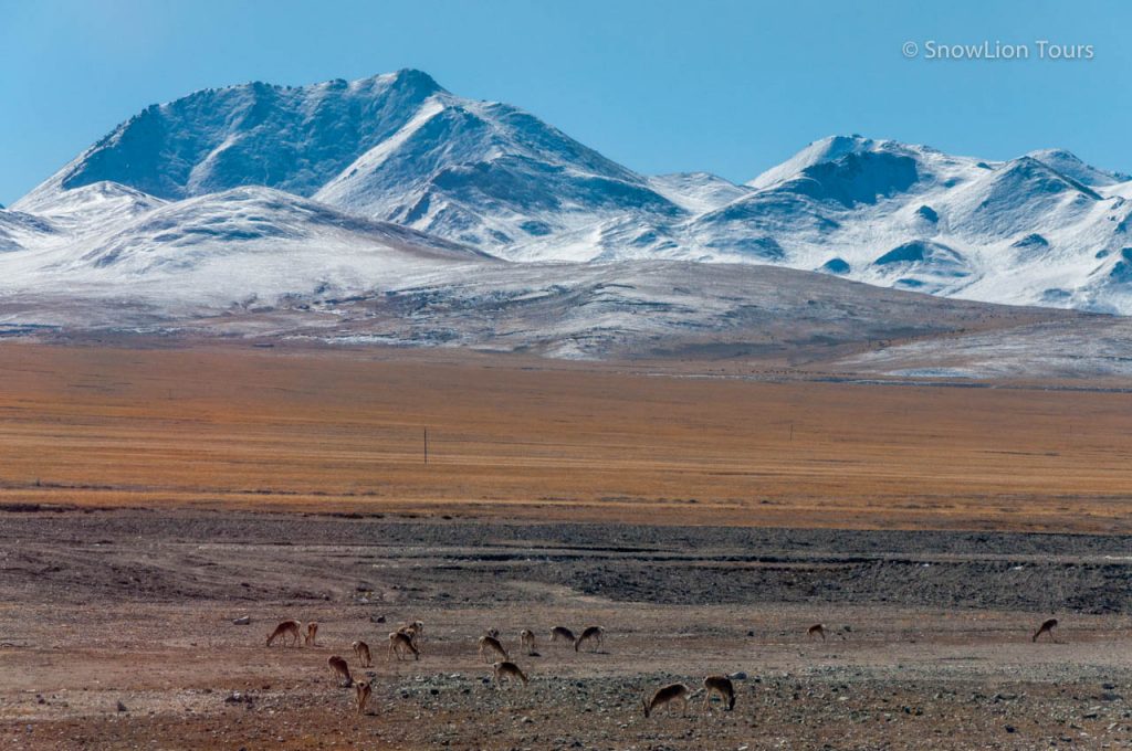 mountains in Tibet, Changtang Plateau