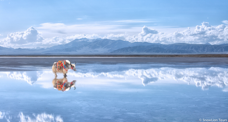 Qinghai Chaka Salt Lake