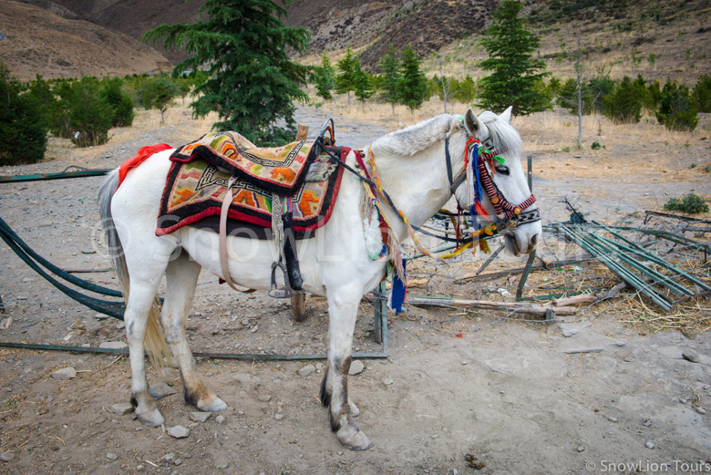Tibet Travel destination