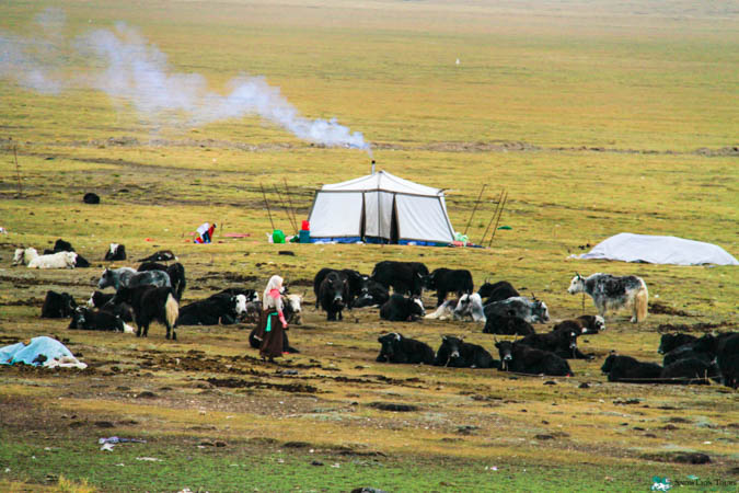 Tibetan nomads in Golog