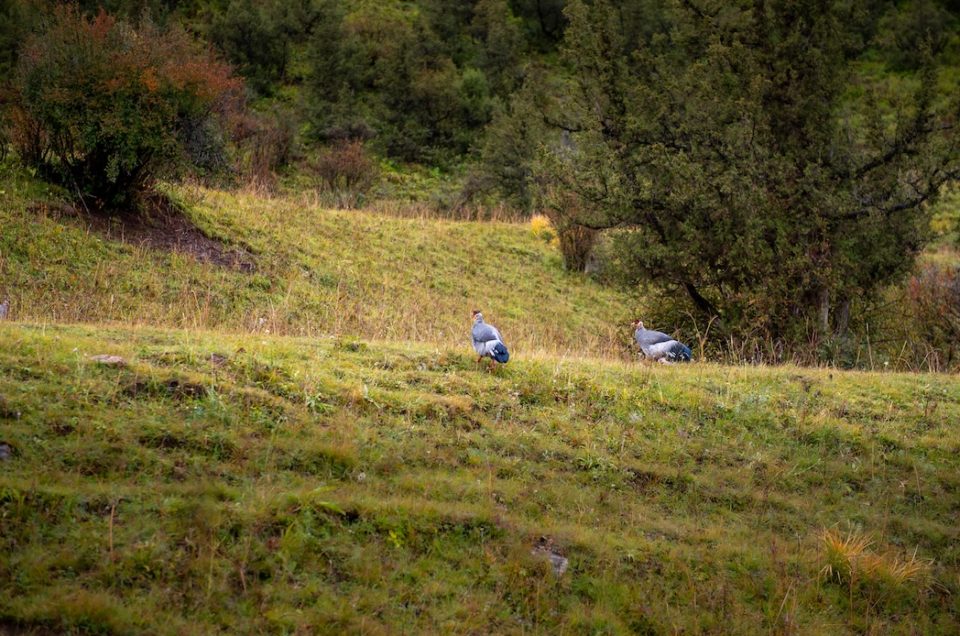 Our Commitment to You During Coronavirus & Beyond