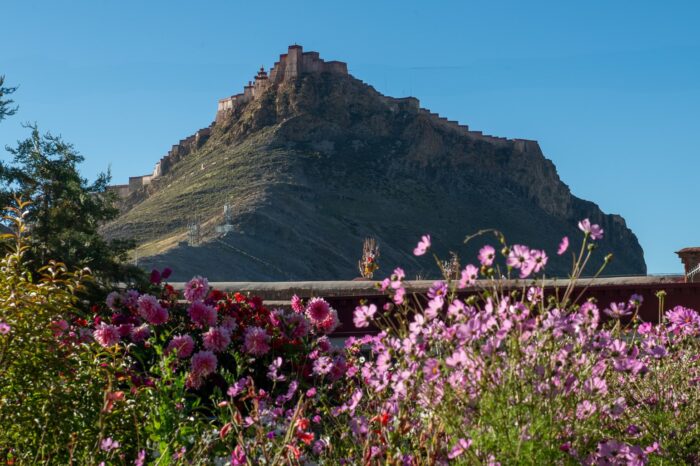 Tibet Tours