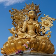 Amdo Tour